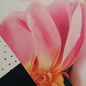 Meet your Posher, Carmen